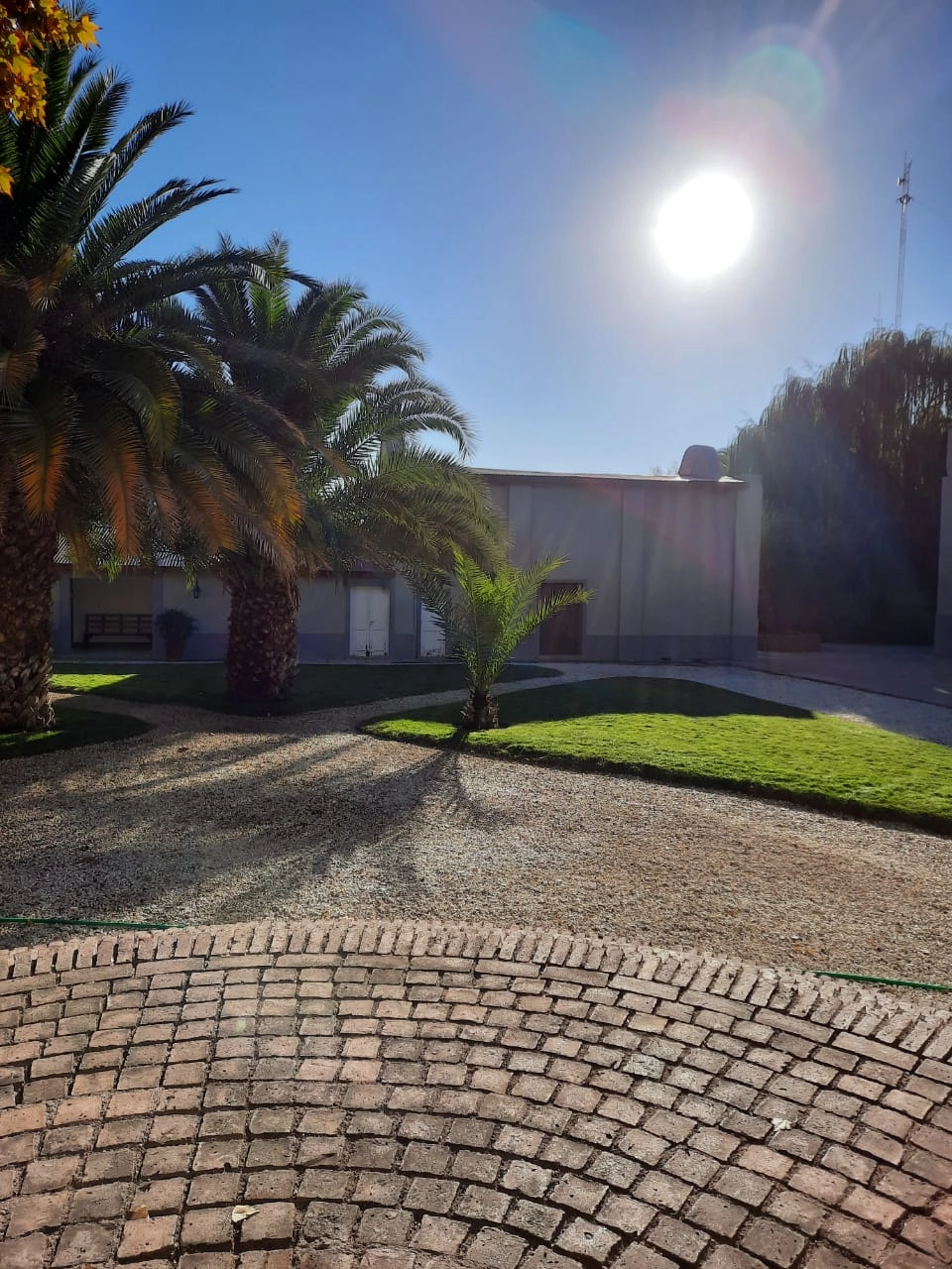 Bodega Flichman - Concurso - Detalle