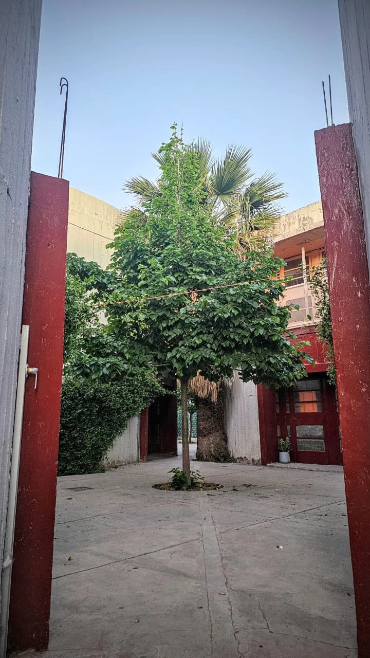 Escuela San Francisco Javier - Detalle